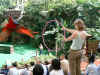 06_2-34_Singapore_parrot_flying_thru_hoop.jpg (105689 bytes)