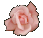 marcador