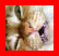 Evil Moggy