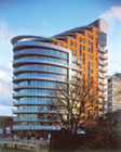 Putney Wharf: Teeming with Saffa's