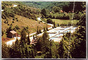 Ribnjak u selu