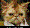 Fun01.gif (56170 bytes)