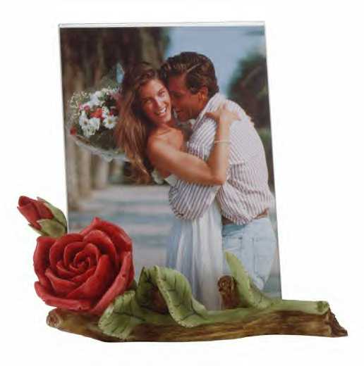 fits 5 x 7 photo