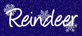 Reindeer