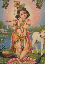 Lord Krishna