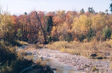 Rouge River Valley
