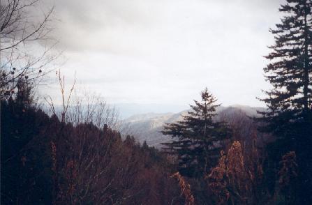 Smoky Mountains, TN