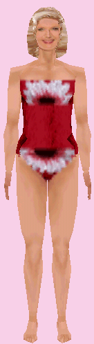 Rose's Swim Suit