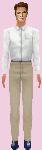 Professor