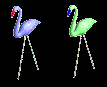 Some cool flamingoes