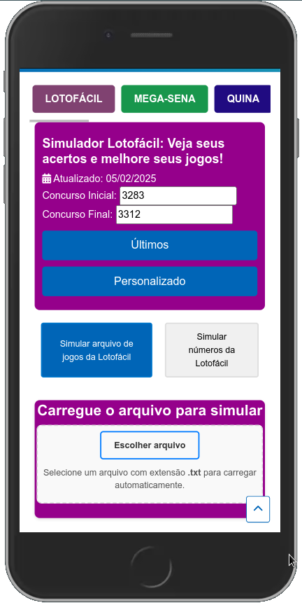 Interface do Simulador Lotof&aacute;cil