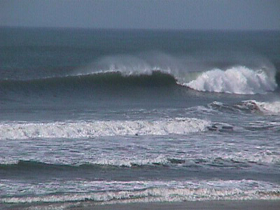 Joaquina