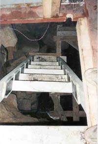 Steps to Cellar