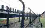 auschwitz