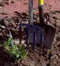lapio-shovel