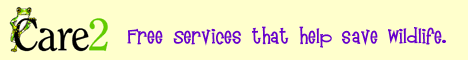 logo5.gif (4156 bytes)