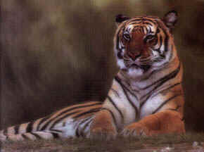 wpe6.jpg (7158 bytes)