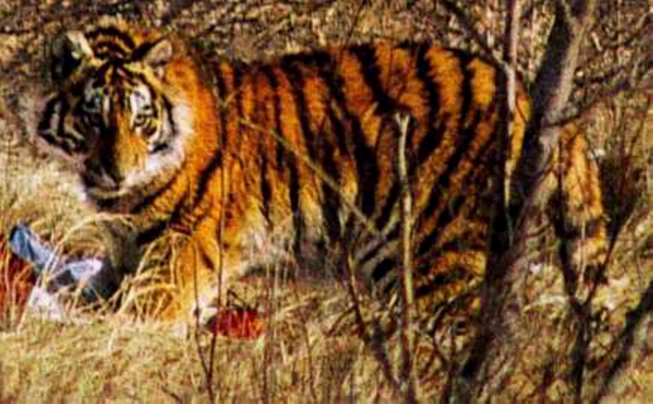 wpe4.jpg (217946 bytes)