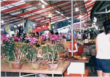 Singapore's Orchid Sales!