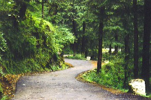 McLeodganj