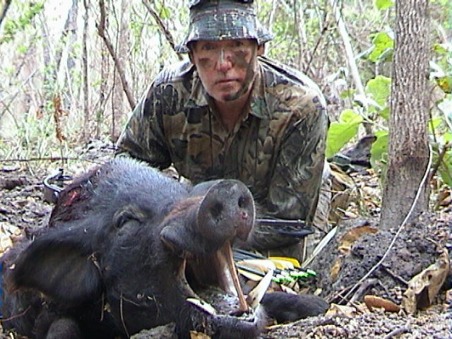 mike has done it again! NT BOAR