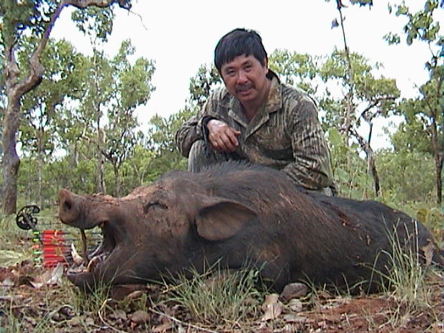 yeak with&nbsp; NT BOAR