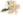 bullet