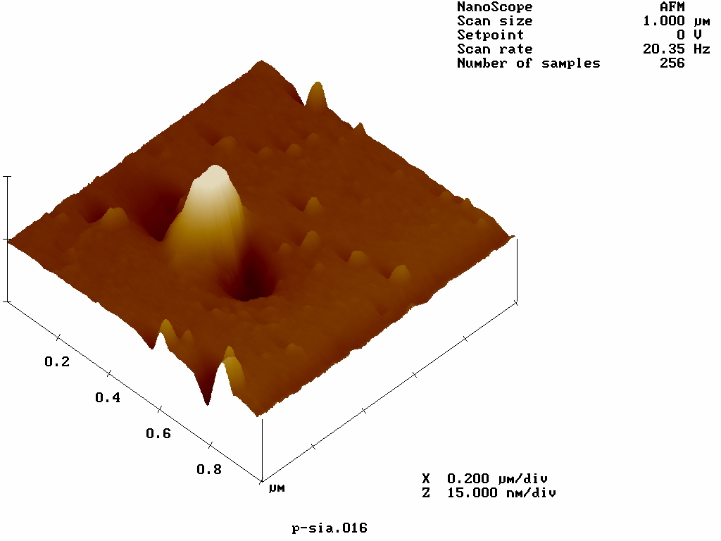 AFM
