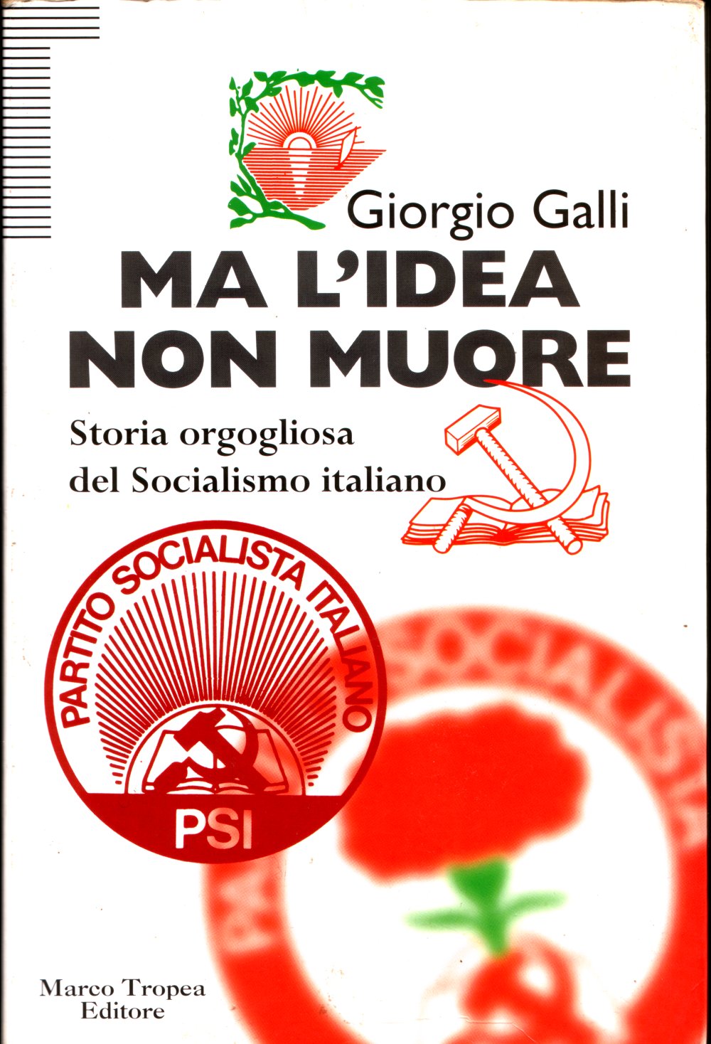 GALLI.jpg (237730 byte)