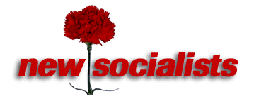 newsoc.gif (10715 byte)