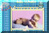 Customizable Greeting Card