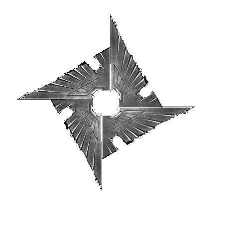 eagle11.jpg