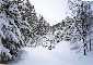 snow and more snow..