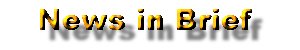 NewinBrief
