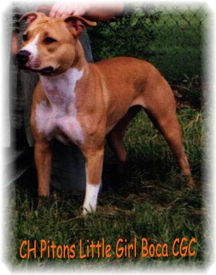 Boca Kennels