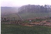Looking East to Hadrian's Wall with the Barracks in the foreground