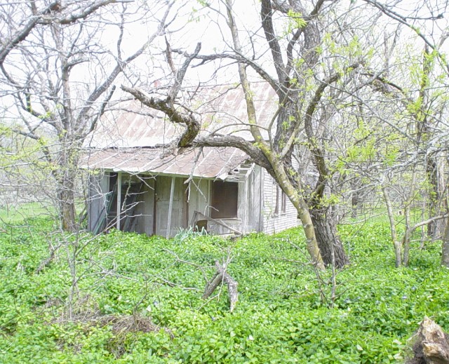 [Little House]
