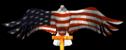 MY 9-11 tribute