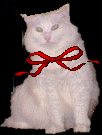 egad, I feel like Nermal!