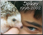 February 9, 2002 (page will be left as-is)