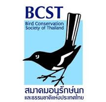 bcst