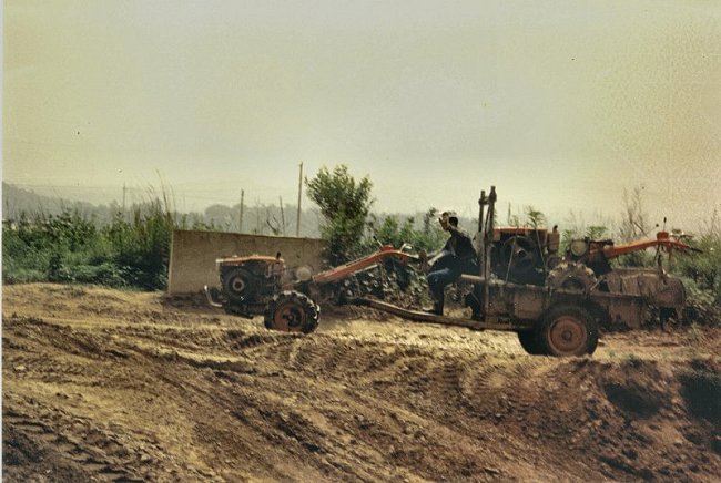 A Korean Farmer
