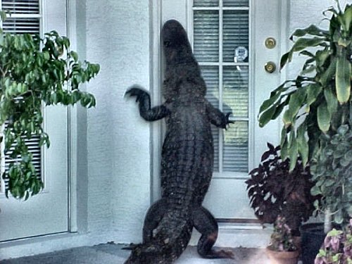 Lock Your Doors