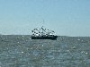 Shrimp Boat 2