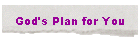 God's Plan for You