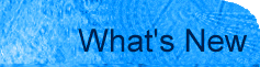 About Club