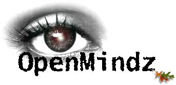 OpenMindz Logo