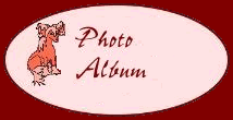 Enter into my Photo Album