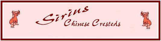 WELCOME TO SIRIUS CHINESE CRESTEDS & ITALIAN GREYHOUNDS