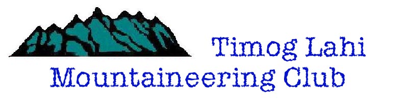 timoglahi logo